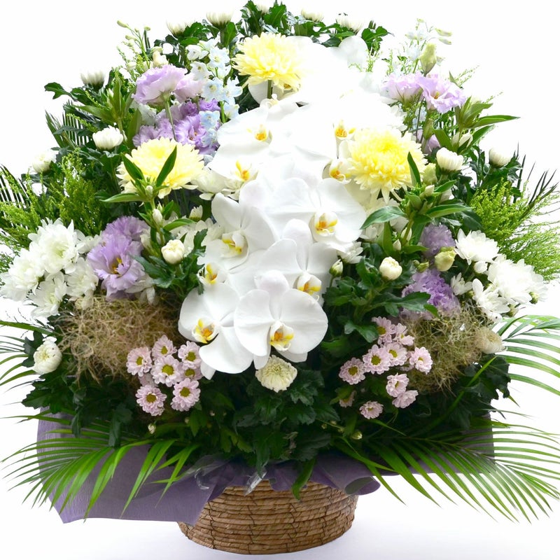 蘭のお供えアレンジメント４Lサイズ