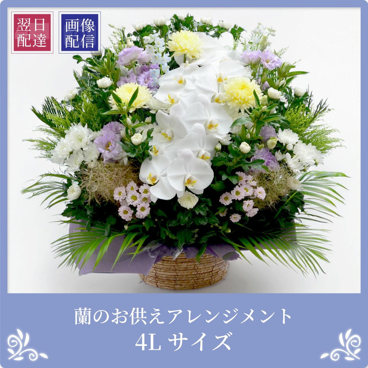 蘭のお供えアレンジメント４Lサイズ