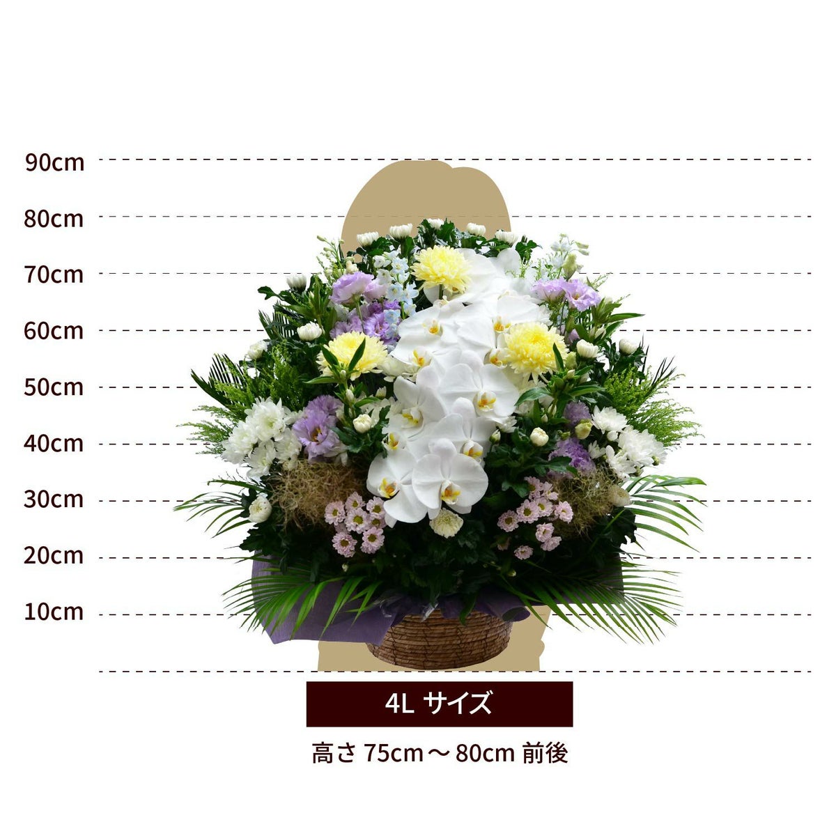 蘭のお供えアレンジメント４Lサイズ