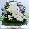 蘭のお供えアレンジメント４Lサイズ