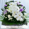 蘭のお供えアレンジメント４Lサイズ