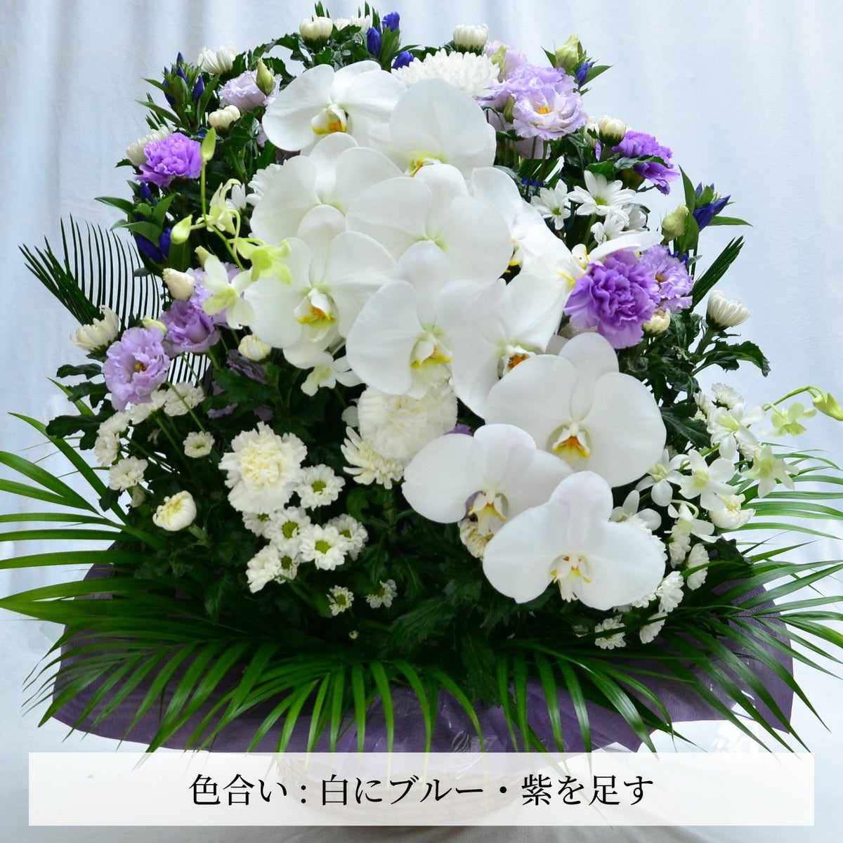 蘭のお供えアレンジメント４Lサイズ