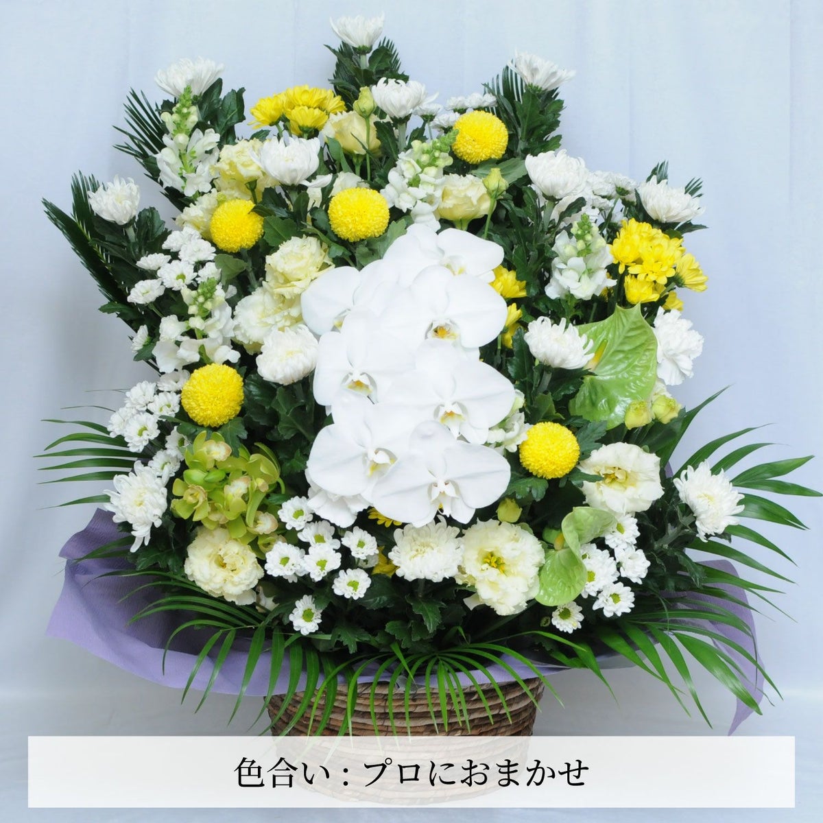 蘭のお供えアレンジメント４Lサイズ