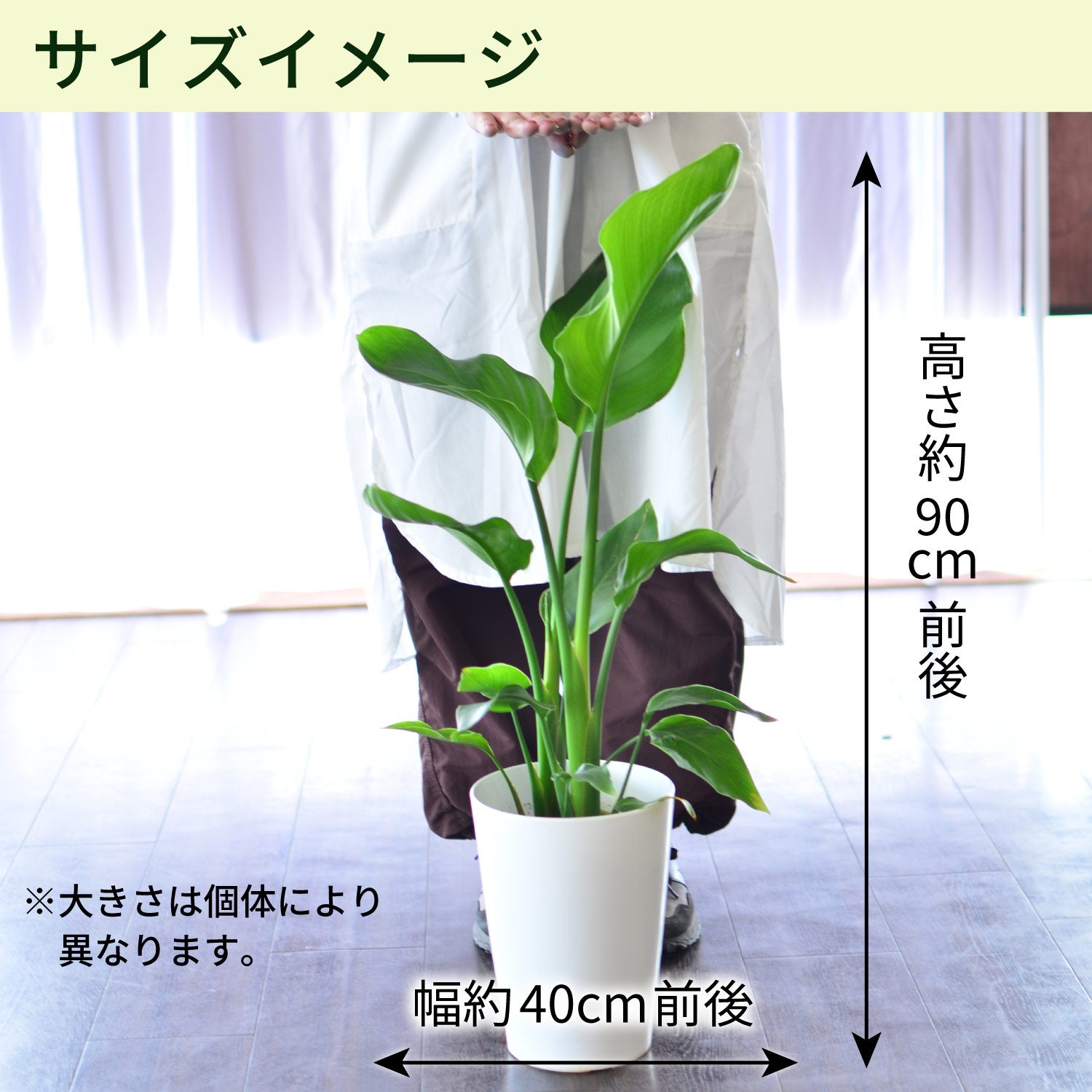 サイズイメージ