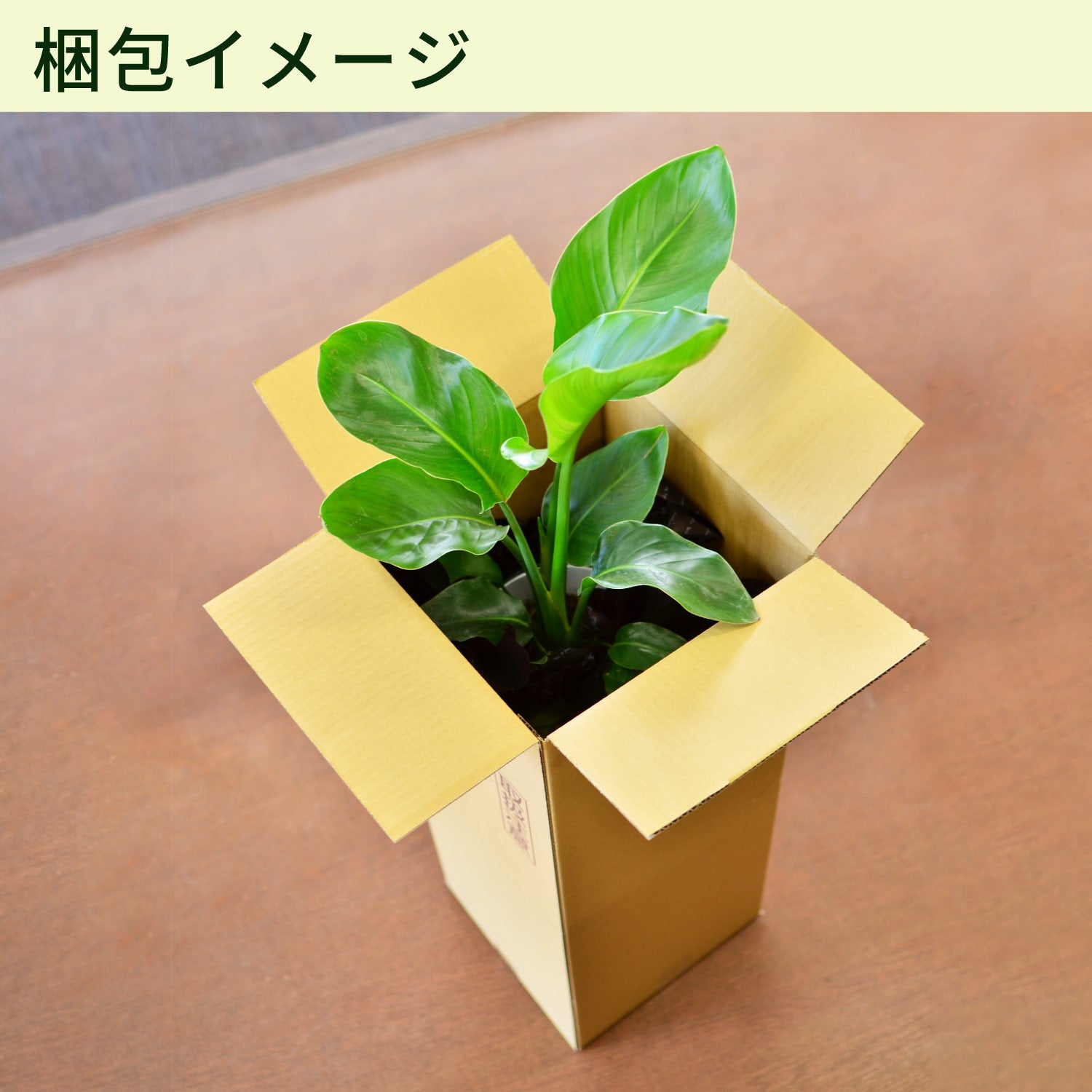 梱包イメージ
